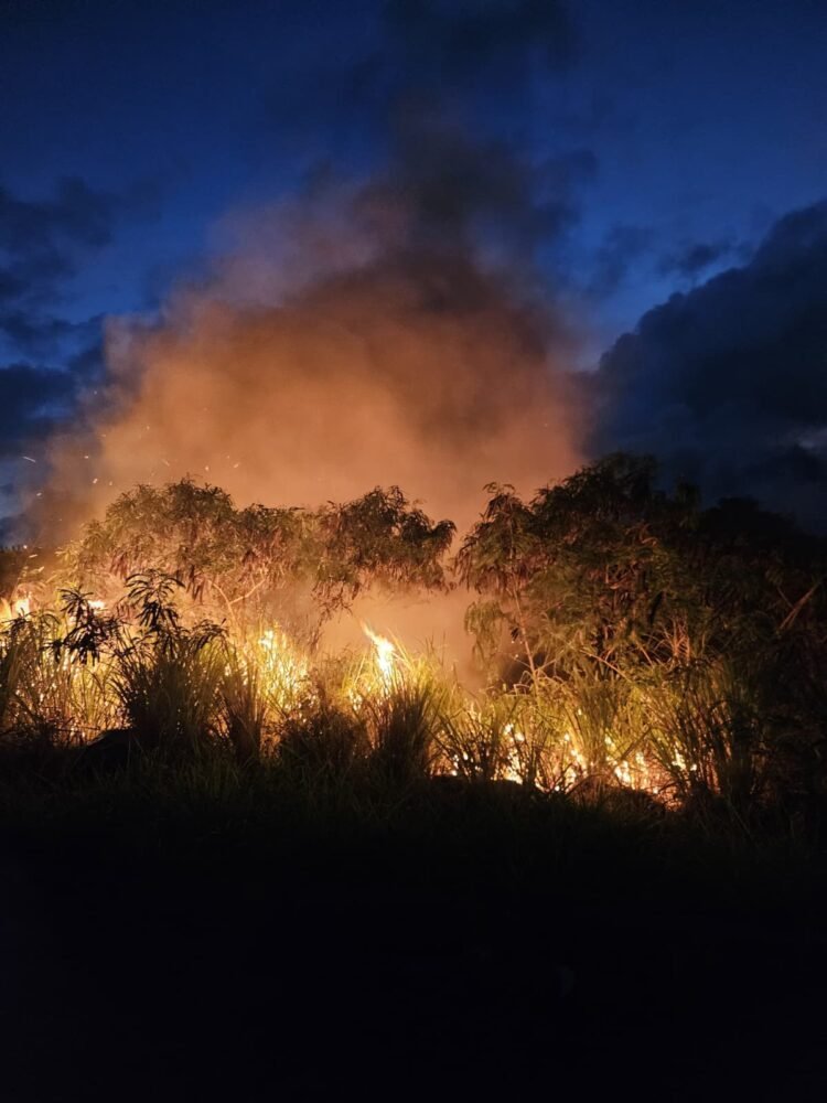 Bushfires expose serious air pollution risk, UWI warns