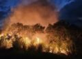 Rural folk fed-up with ‘ridiculous cycle’ of brush fire, smoke