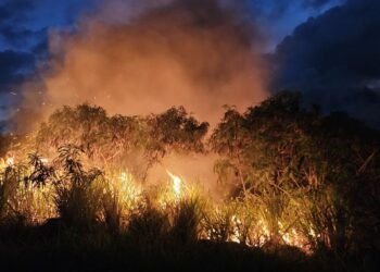 Rural folk fed-up with ‘ridiculous cycle’ of brush fire, smoke
