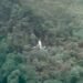 ASL aircraft crashes in Region 8; GDF launches rescue mission