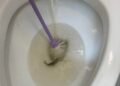 Fish found in toilet, as vandals target newly commissioned Friendship Park facilities