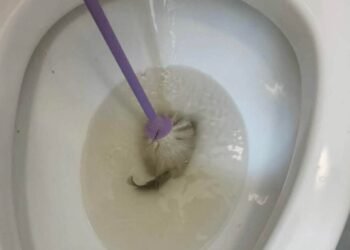 Fish found in toilet, as vandals target newly commissioned Friendship Park facilities