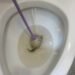 Fish found in toilet, as vandals target newly commissioned Friendship Park facilities