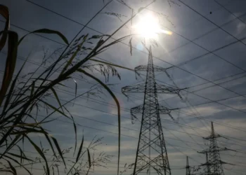 A 14-year-old boy climbed a transformer and is in critical condition after being electrocuted
