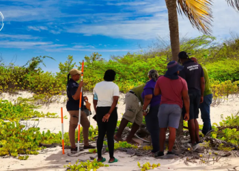 ESFN Participates in Wetland Monitoring Training Workshop in Barbuda