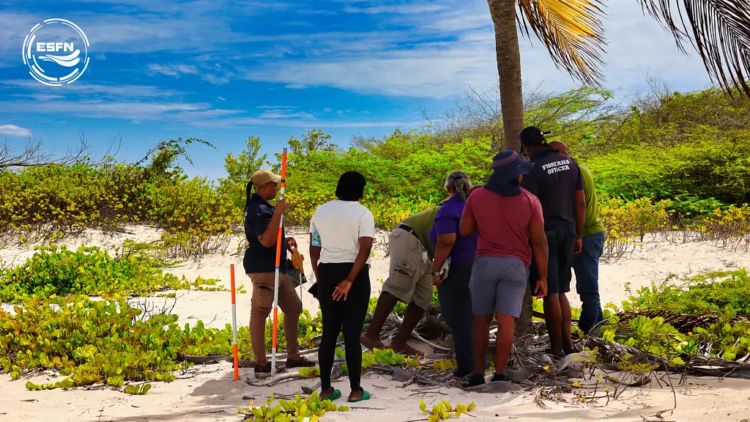 ESFN Participates in Wetland Monitoring Training Workshop in Barbuda
