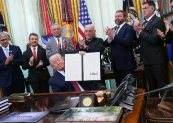 Trump orders more access to psychedelics like LSD, psilocybin and ibogaine