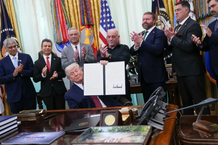 Trump orders more access to psychedelics like LSD, psilocybin and ibogaine