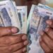 How much would you pay not to vote? These are the three amounts that you will have to assume if you do not participate in the 2026 General Elections