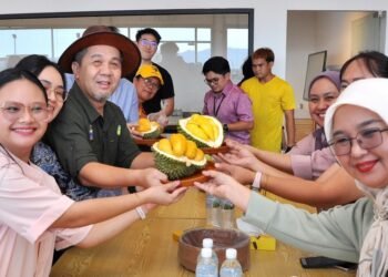 Sabah focuses on premium durian, avocado to boost farmers’ income