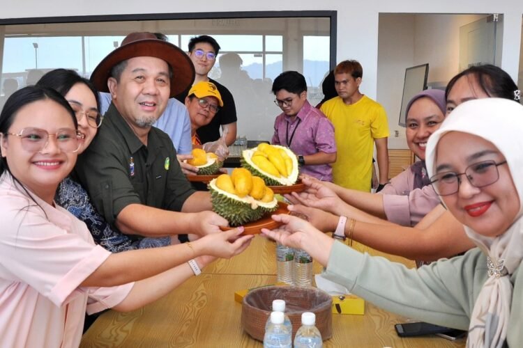Sabah focuses on premium durian, avocado to boost farmers’ income