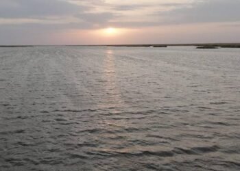 Tokayev proposed establishing International Aral Sea Day under the auspices of the UN