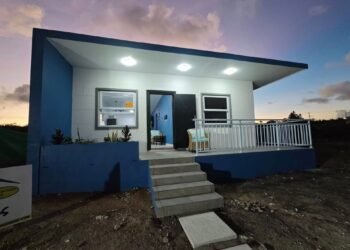 ABLP leader says more than 4,000 subsidised homes built over past decade