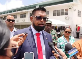 Online passport applications coming within a month – Pres. Ali