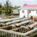 Vietnam’s Mekong Delta shifts from fighting to living with saltwater intrusion in dry season