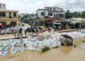 Da Nang orders $18.9mn emergency embankment project to curb erosion