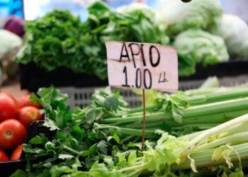 Fuel, fertilizers and harvest cycles: Why will eating be more expensive in May and June?
