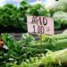 Fuel, fertilizers and harvest cycles: Why will eating be more expensive in May and June?