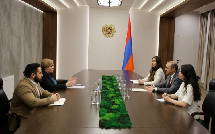 Armen Grigoryan and Daphne Mare discussed projects implemented within the framework of cooperation