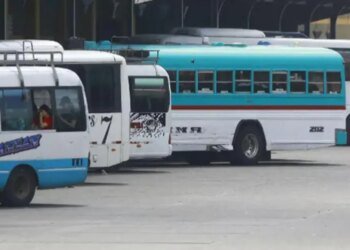 They authorize a temporary rate for interurban and suburban transportation