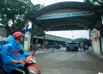Hanoi slaughterhouse shuttered after 300-tonne diseased pork scandal