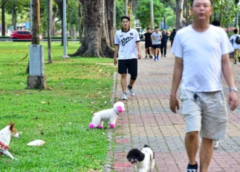 Unleashed dogs raise safety concerns in Ho Chi Minh City public places
