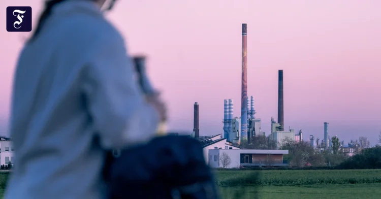 Rejection of excess profits tax for oil companies – Brussels lets Klingbeil appear
