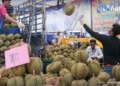 Thailand’s Durian Drama: Can the State Save the King of Fruit?