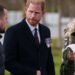 Prince Harry says he will always be part of the royal family