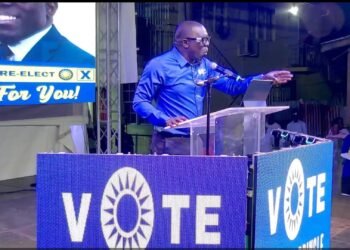 WATCH: Pringle says UPP will remove ALL duties and taxes on personal vehicle imports, if elected