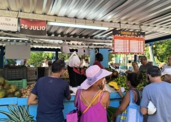 CPI: Inflation exceeds 13% in one year and almost 50% in the informal market