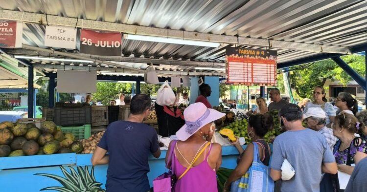 CPI: Inflation exceeds 13% in one year and almost 50% in the informal market