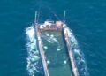 00:30Stranded whaleAerial photos show humpback whale in the barge615934