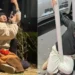 In pole position: Cross-legged pole hugging challenge goes viral on Chinese social media