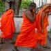 22 Sri Lankan monks arrested with 110 kilos of cannabis at airport – De Ware Tijd