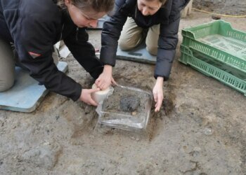 Roman bread discovered in Switzerland for the first time