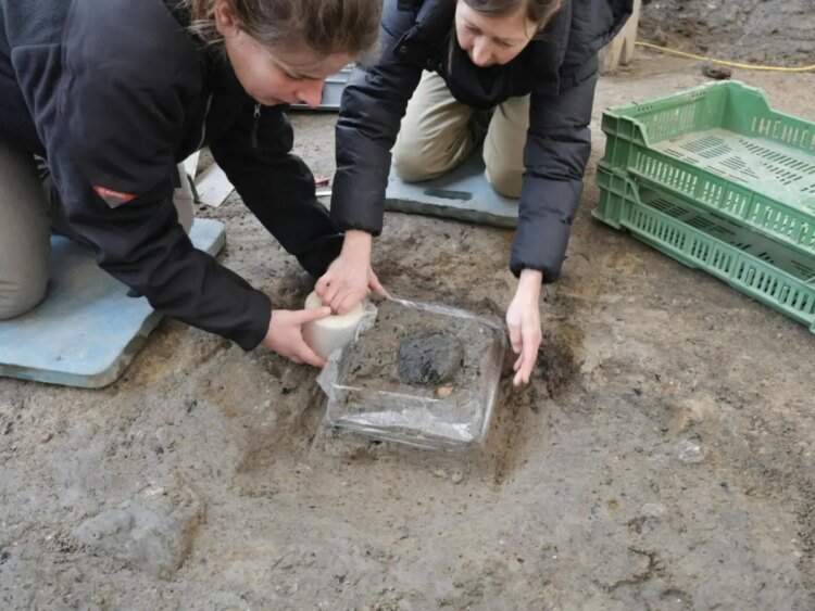 Roman bread discovered in Switzerland for the first time