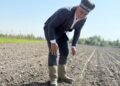 Registration of dehkan farms has been simplified in Tajikistan