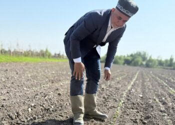 Registration of dehkan farms has been simplified in Tajikistan