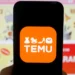 Temu and Shein cost German retailers billions