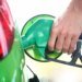 Government defends mandatory bioethanol to avoid cost overruns for the consumer