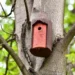Prague 1 Installs Dozens of Nest Boxes: First Project of Its Kind in the City Centre