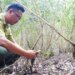 Over 20,000 hectares of forest in Vietnam’s Ca Mau at high fire risk