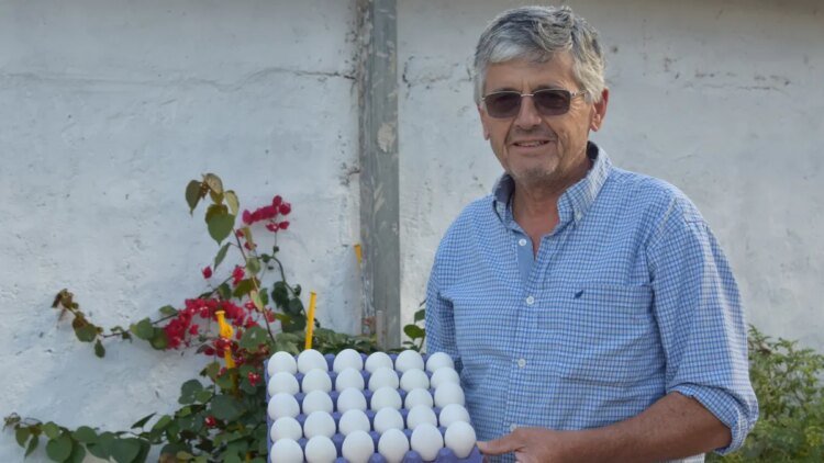 The story of Danilo, the producer who prefers to eat white eggs and taking care of the worker’s pocket