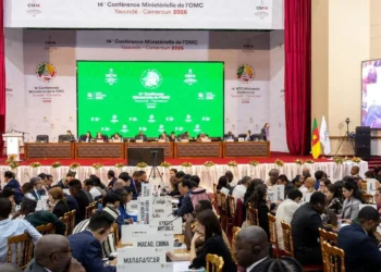 The WTO can be a good supporting actor on trade