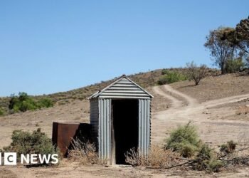 Woman trapped in poo for three hours after outback toilet collapsesThe woman got stuck waist-deep in a pit latrine in the Australian outback after it gave way.19 hrs agoWorld