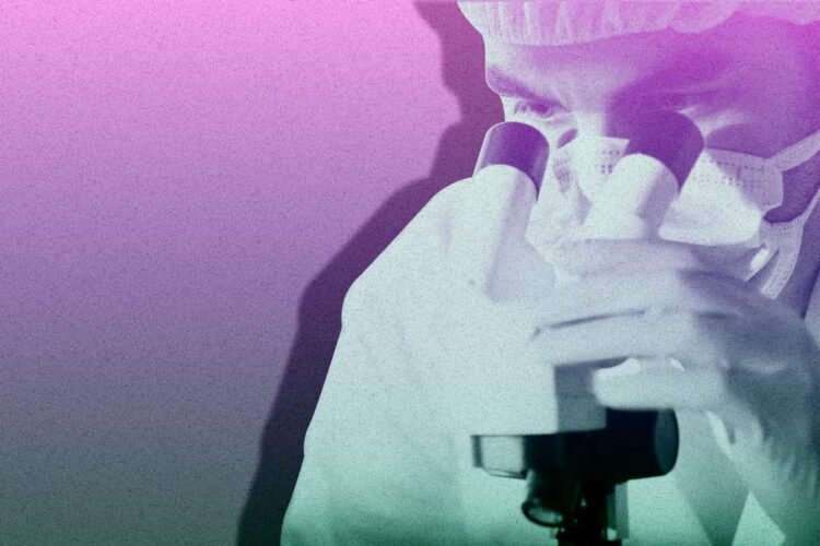 Cadmium: ‘The lack of irrefutable evidence should never be an excuse for inaction’