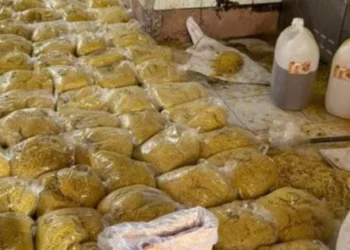 Couple arrested for allegedly producing 2,800 tonnes of contaminated fresh noodles in Ho Chi Minh City