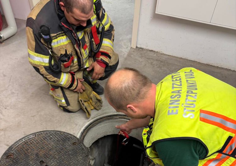 Gasoline in the inlet shaft – state mirror