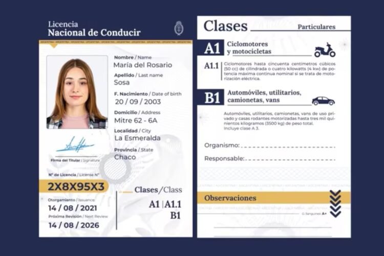Driving license at 17: which provinces enable it and what requirements they ask for in 2026